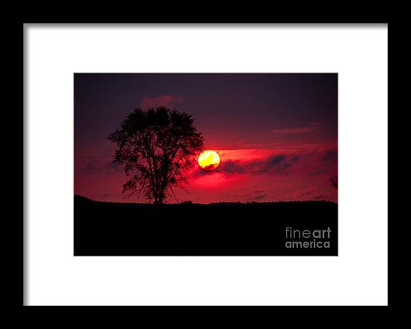 Sunsets Framed Print featuring the photograph Could be in Africa by Cheryl Baxter