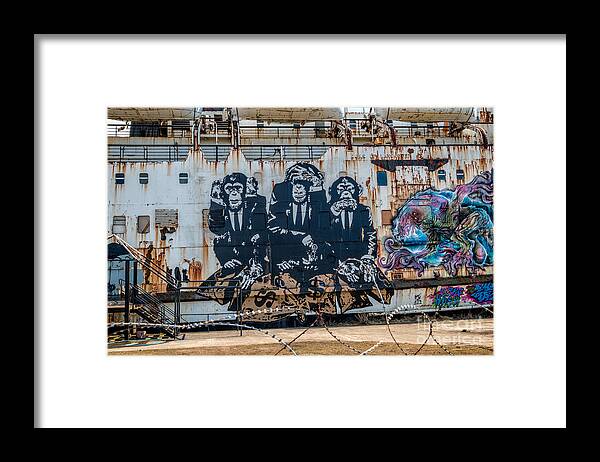 British Framed Print featuring the photograph Council Of Monkeys 2 by Adrian Evans