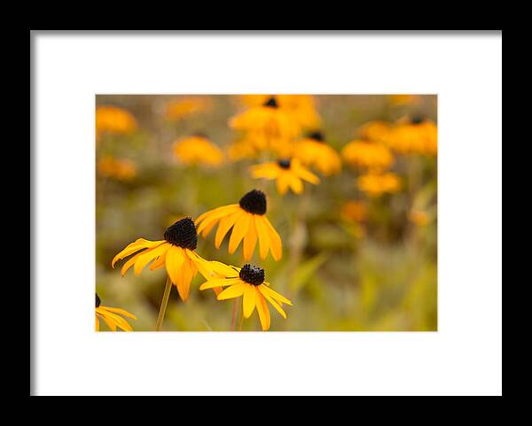 White Framed Print featuring the photograph Country Charm by Miguel Winterpacht