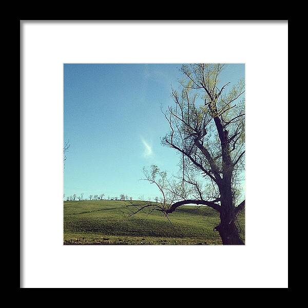 Blue Framed Print featuring the photograph #country #countryside #tree #bluesky by Amber Campanaro
