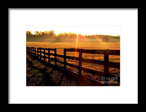 Country Framed Print featuring the photograph Country Fence by Carlee Ojeda