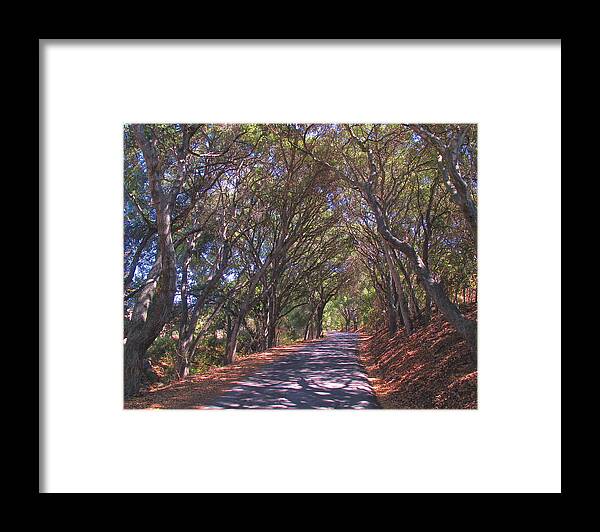 Road Framed Print featuring the photograph Country Lane by Derek Dean