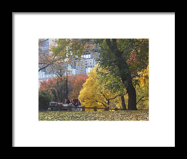 central Park Framed Print featuring the photograph Country Ride in the City by Barbara McDevitt