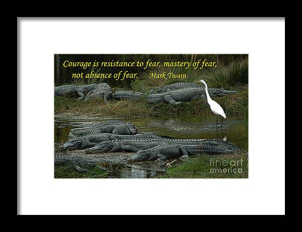 Courage Framed Print featuring the photograph Courage and Fear by Gene Bleile Photography 