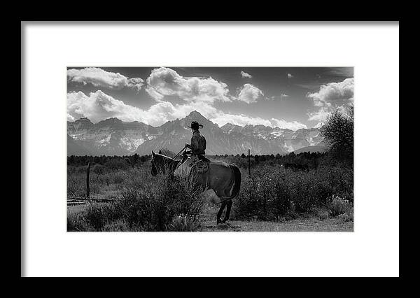 Photography Framed Print featuring the photograph Cowboy On Cattle Drive Gather by Panoramic Images