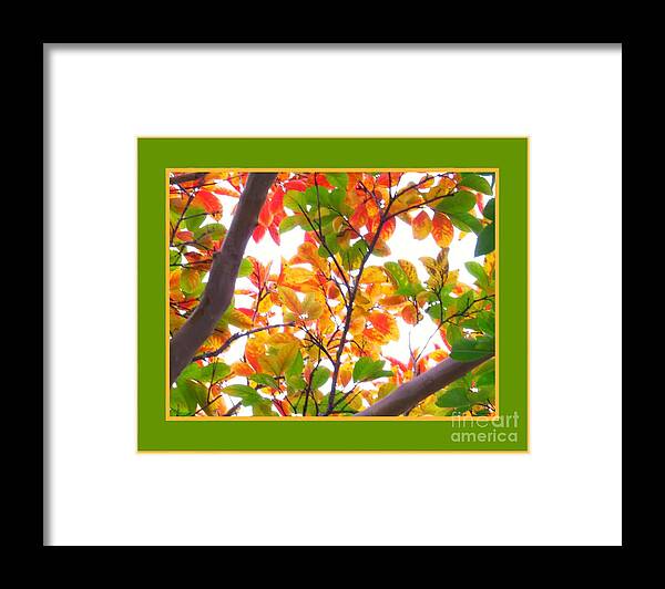 Crapemyrtle Framed Print featuring the photograph Crapemyrtle Fall Color V4 by Scott Cameron