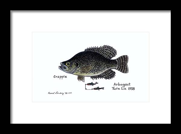 Crappie and Arbogast Twin Liz Lure 1938 Framed Print
