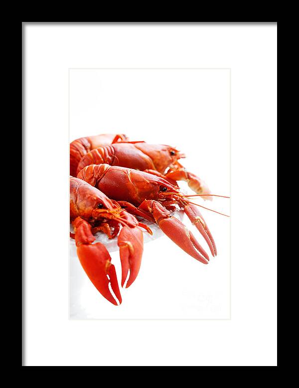 Red Framed Print featuring the photograph Crawfish by Kati Finell