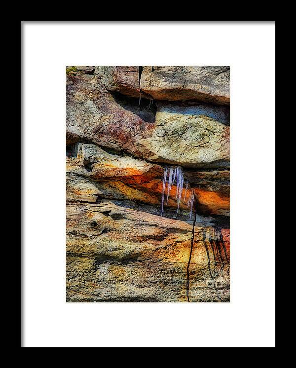 Nature Framed Print featuring the photograph Abstract By Nature by Skip Willits