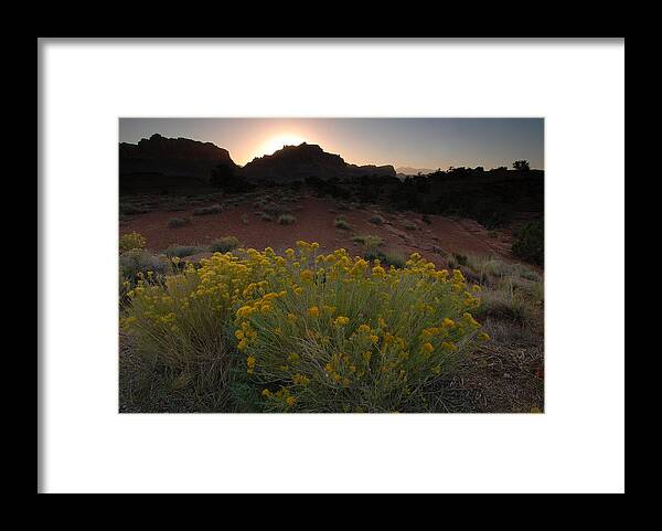  Framed Print featuring the photograph CReef by Gregory Blank