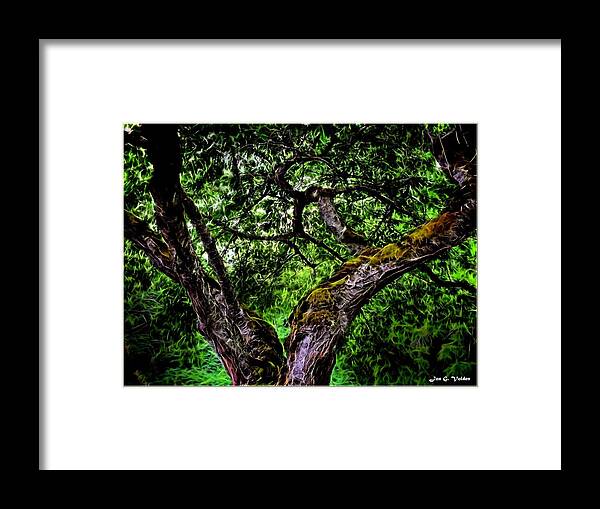 Tree Framed Print featuring the painting Creepy Tree by Jon Volden