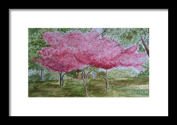 Crepe Myrtle Framed Print featuring the painting Crepe Myrtles by Katie Spicuzza