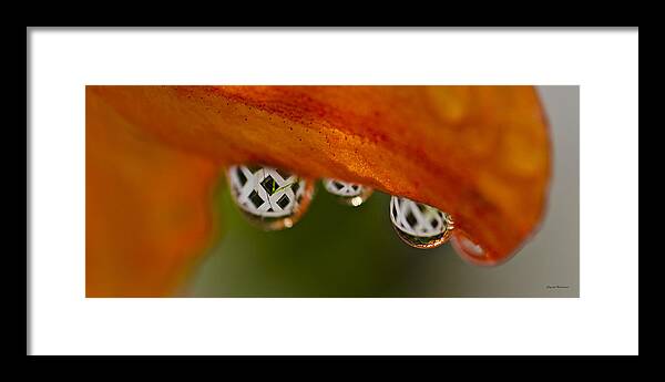 Raindrops Framed Print featuring the photograph Criss Cross Water Drop by Crystal Wightman