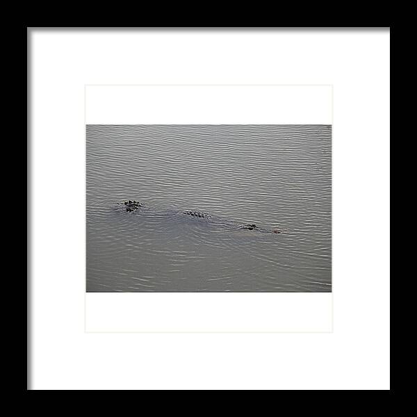 Tagstagramers Framed Print featuring the photograph #crocodile Spotted At #sungeibuloh by Leon Traazil