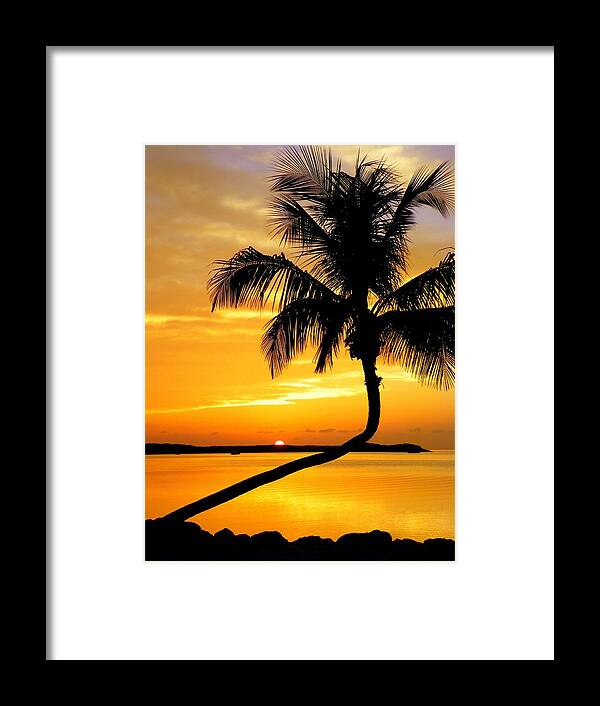 Palm Silhouettes Framed Print featuring the photograph Crooked Palm by Karen Wiles
