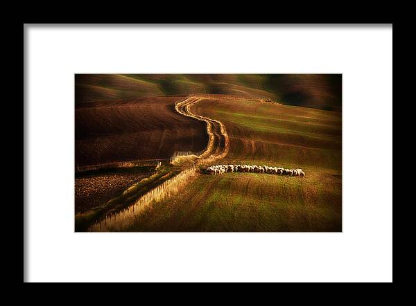 Animals Framed Print featuring the photograph Crossing The Fields by 