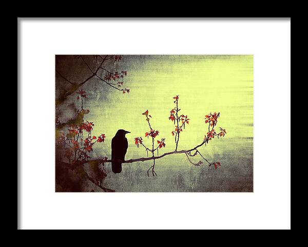 Animal Themes Framed Print featuring the photograph Crow Sitting On A Branch In A Flower by Wim Koopman