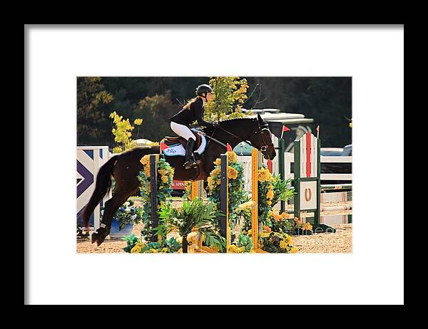 Horse Framed Print featuring the photograph Csjt-jumper63 by Janice Byer