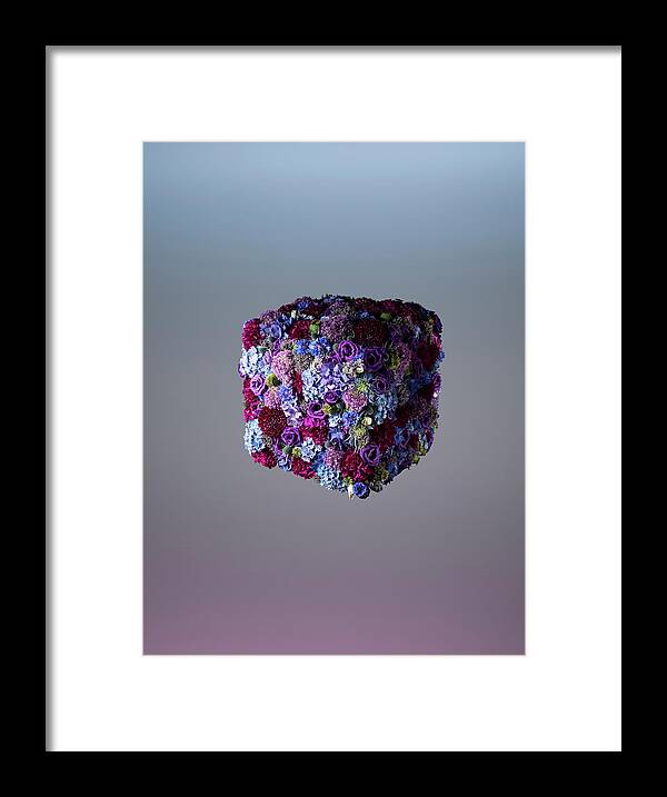 Tranquility Framed Print featuring the photograph Cubic Floral Arrangement by Jonathan Knowles