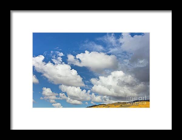 00559138 Framed Print featuring the photograph Cumulus Clouds And Aspens by Yva Momatiuk John Eastcott