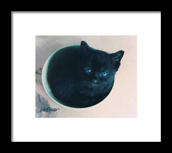 Cat Framed Print featuring the photograph Cup O'Kitty by Seth Weaver