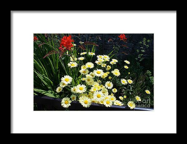 Floral Framed Print featuring the photograph Curiosity by Elena Perelman