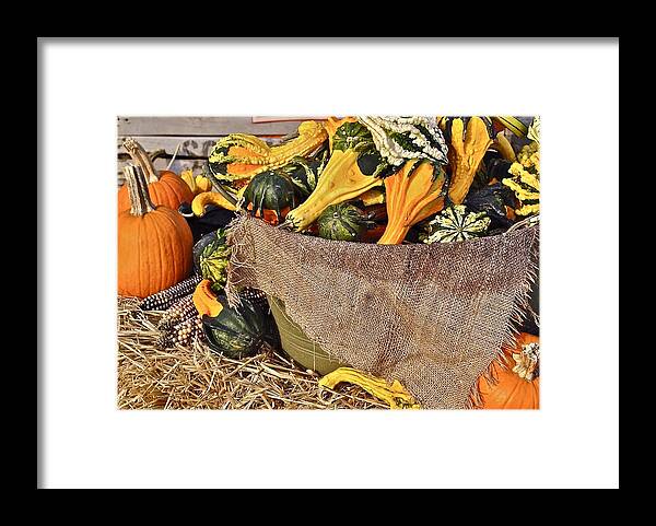 Autumn Framed Print featuring the photograph Cut in Half by Frozen in Time Fine Art Photography