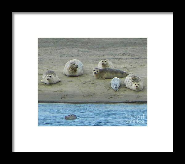 Nature Framed Print featuring the photograph Cute Faces by Gallery Of Hope 