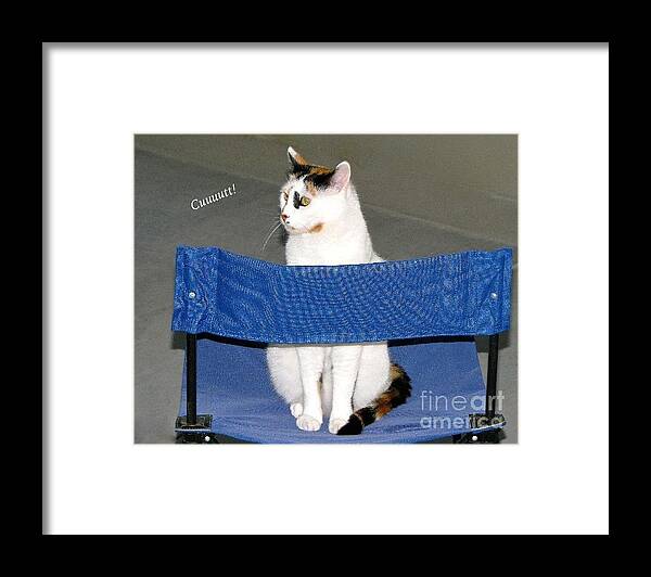 Cut! Framed Print featuring the photograph Cuuuutt by Phyllis Kaltenbach