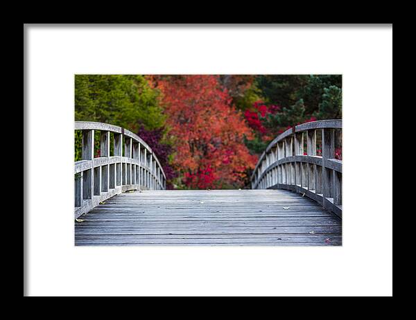Japanese Garden Framed Print featuring the photograph Cypress Bridge by Sebastian Musial