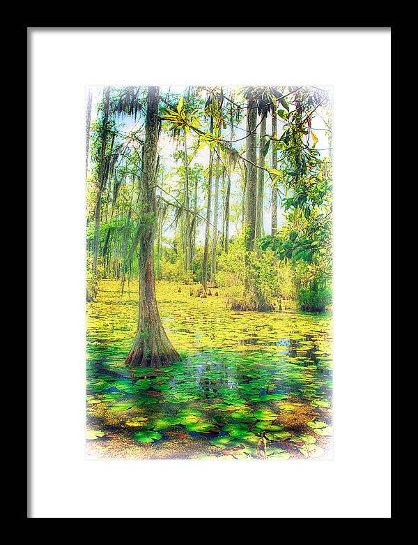 South Carolina Framed Print featuring the painting Cypress Tree and Water Lilies by Dan Carmichael