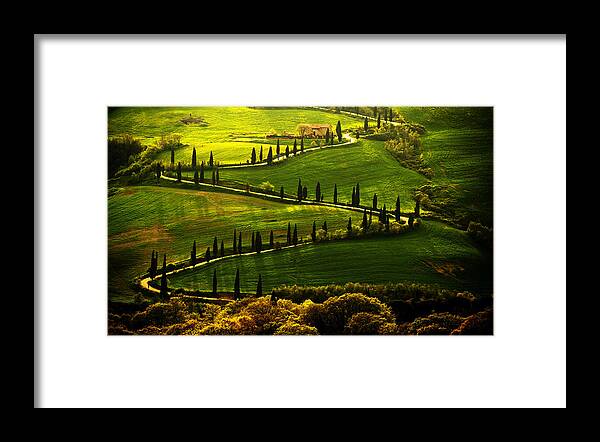Toskany Framed Print featuring the photograph Cypresses Alley by Jaroslaw Blaminsky