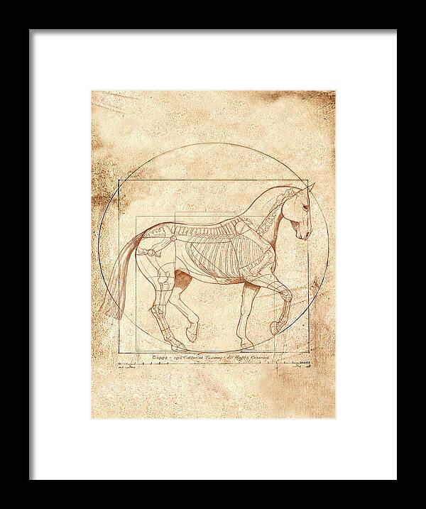 Equine Framed Print featuring the painting da Vinci Horse in Piaffe by Catherine Twomey