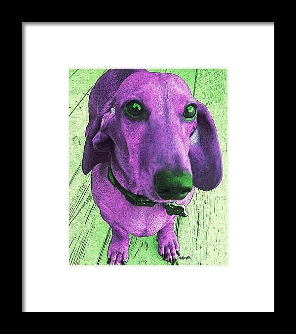 Dachshund Framed Print featuring the photograph Dachshund - Purple People Greeter by Rebecca Korpita