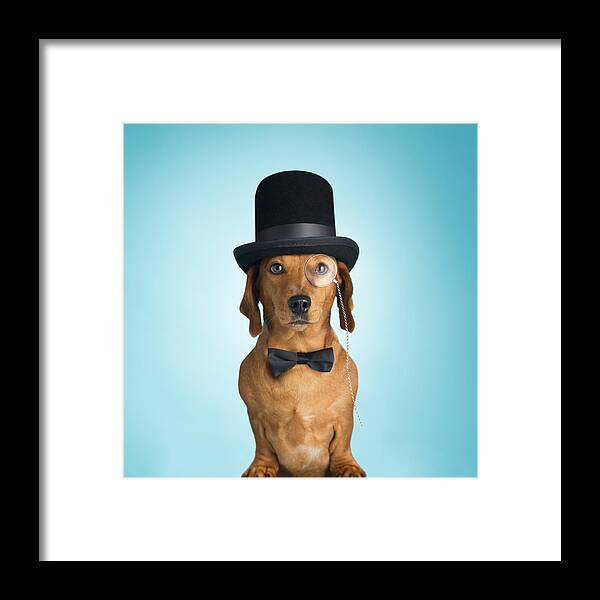 Pets Framed Print featuring the photograph Dachshund wearing top hat and monacle by mrPliskin