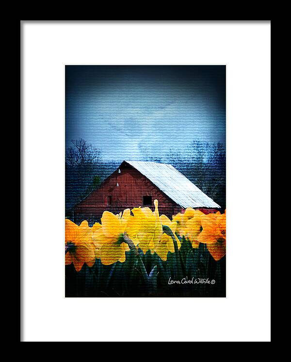 Landscapes Framed Print featuring the photograph Daffodils And A Red Barn by Lena Wilhite