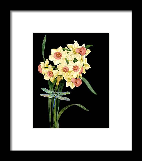 Daffodils Framed Print featuring the mixed media Daffodils by Anthony Seeker