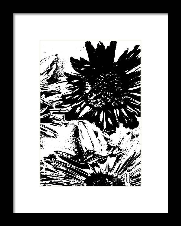 Daisy Framed Print featuring the photograph Daisy Crop BW Threshold by Heather Kirk