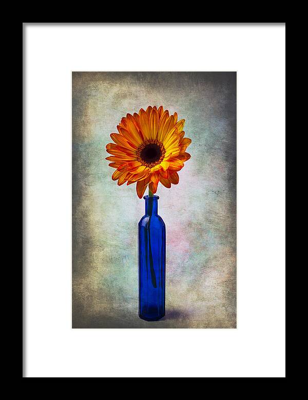  Blue Framed Print featuring the photograph Daisy In Blue Vase by Garry Gay
