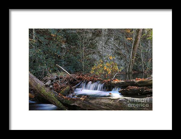 Cataloochee North Carolina Framed Print featuring the photograph Dammed Up in Cataloochee by Benanne Stiens