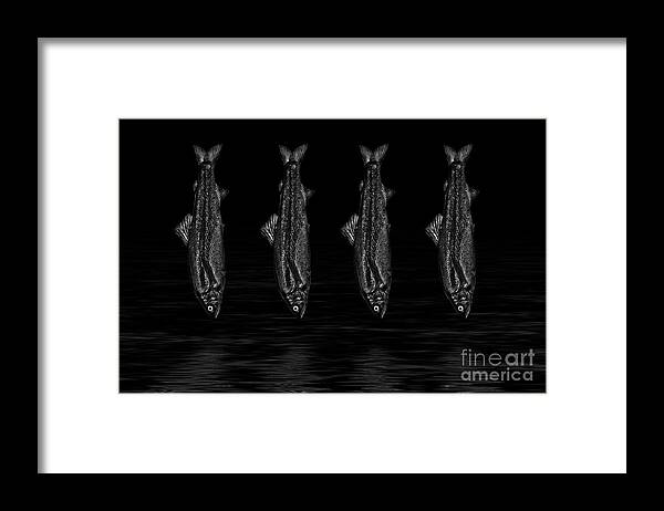 Dancing Fish Framed Print featuring the photograph Dancing Fish At Night 1 by Evgeniy Lankin