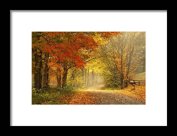 Autumn Framed Print featuring the photograph Dancing Leaves by Magda Bognar