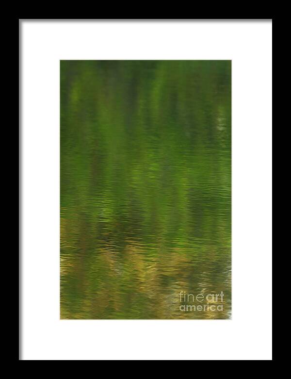 Floral Framed Print featuring the photograph Dancing Reeds by John F Tsumas