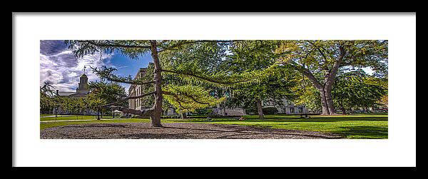 University Of Iowa Framed Print featuring the photograph Dancing Tree by Ray Congrove