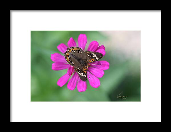  Framed Print featuring the photograph Dancing With Nature by Virginia Bond