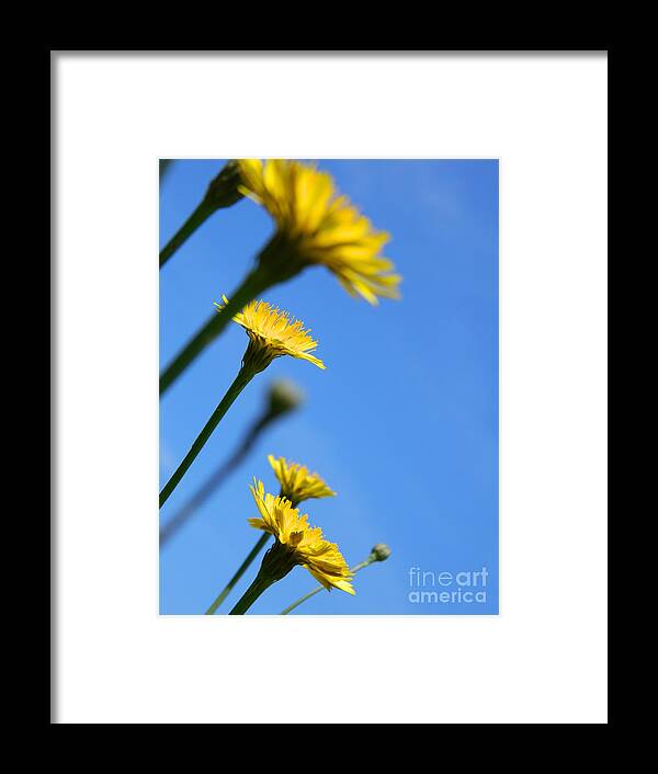 Flower Framed Print featuring the photograph Dancing with the flowers by Andrea Anderegg