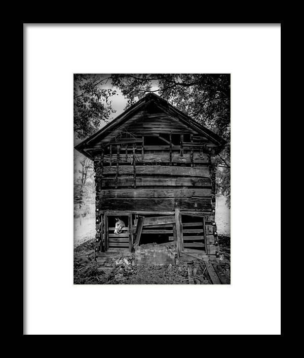 Rustic Cabins Framed Print featuring the photograph Daniel Boone Cabin by Karen Wiles