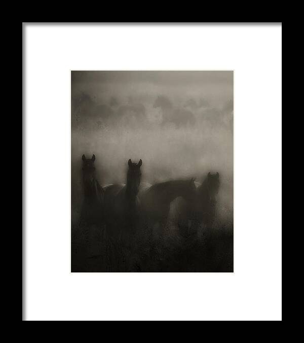 Equine Framed Print featuring the photograph Dark Horse Dreams by Ron McGinnis