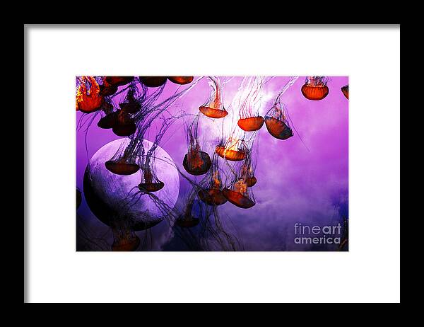 Jelly Framed Print featuring the photograph Dark Side Of The Moon 5D24939 by Wingsdomain Art and Photography