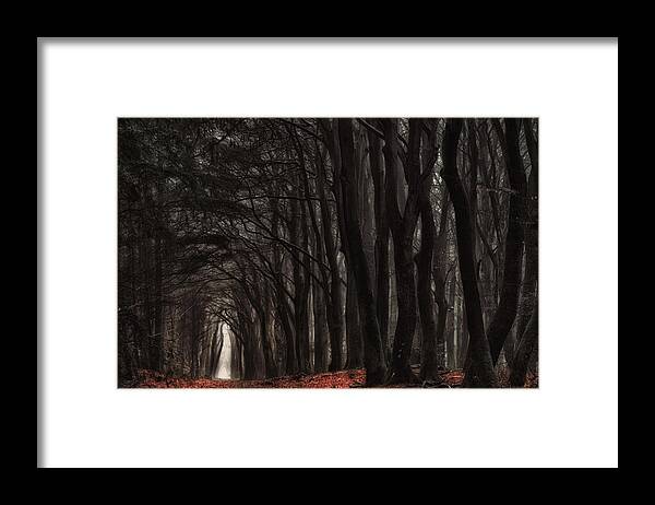 Forest Framed Print featuring the photograph Darkness Come Alive by Jan Paul Kraaij